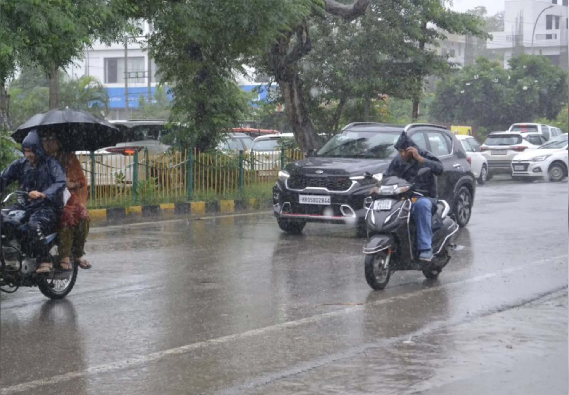 Haryana on High Alert as IMD Predicts Heavy Rains; Hisar Farmers Face Rs 1000 Crore Crop Losses